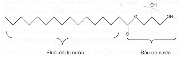 Dầu ăn không thể trộn lẫn với nước hoặc giấm hay nước cốt chanh