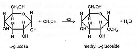 Tiến hành ether hóa α-glucose bằng methanol, sản phẩm thu được là methyl α-glucoside