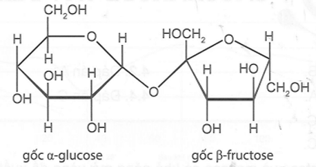 Giải thích vì sao saccharose chỉ tồn tại một kiểu cấu trúc phân tử ở trạng thái rắn hoặc trong dung dịch