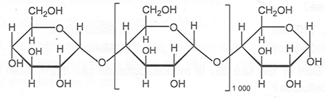 Quan sát cấu trúc một phân tử tinh bột dưới đây, ta thấy mỗi phân tử tinh bột