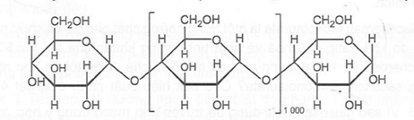 Carbohydrate nào có cấu trúc phân tử được biểu diễn dưới đây