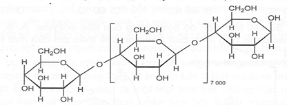 Quan sát cấu trúc phân tử carbohydrate X được cho dưới đây