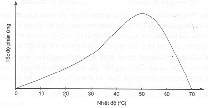 Hầu hết những phản ứng sinh hoá xảy ra nhờ sự xúc tác của các enzyme