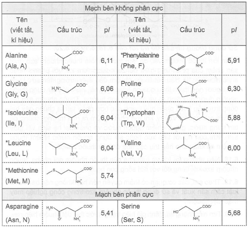 Dạng ion chủ yếu nào của amino acid có trong môi trường acid mạnh (pH thấp)