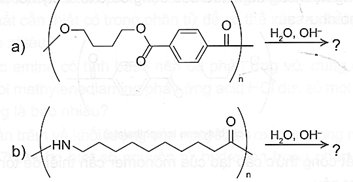 Cho biết sản phẩm của quá trình thuỷ phân các polymer sau trang 72 Sách bài tập Hóa học 12