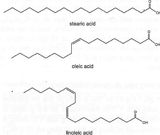 Acid béo là thành phần quan trọng của một chế độ ăn uống lành mạnh