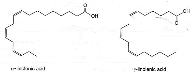 Linolenic acid có công thức phân tử là C18H30O2, gồm có α-linolenic acid và γ-linolenic acid, α-linolenic acid