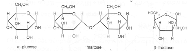 Giải thích vì sao các phân tử glucose, fructose và maltose đều có thể mở vòng