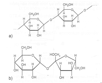 Cho biết tên của loại liên kết giữa 2 đơn vị monosaccharide đã nêu trong các chuỗi