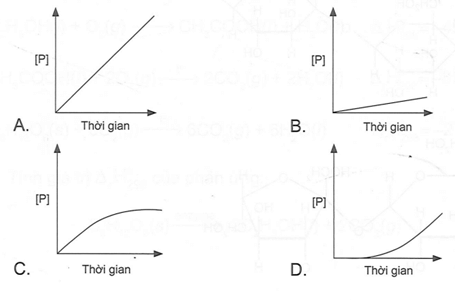 Trong quá trình lên men một carbohydrate, biểu đồ nào dưới đây thể hiện tốt nhất vai trò