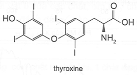 Thyroxine là loại hormone được tiết ra từ tuyến giáp, tuyến nội tiết lớn nhất trong cơ thể