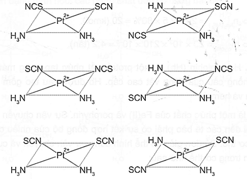 Phức chất [Pt(NH3)2(SCN)2] có hai loại đồng phân (đồng phân cis – trans và đồng phân liên kết)