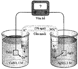 Xét quá trình hoạt động của một pin điện hoá Cu Ag được thiết lập ở các điều kiện như hình vẽ bên