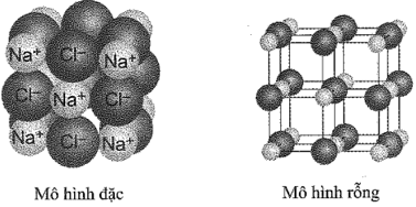 Trong tinh thể NaCl, các ion trái dấu tiếp xúc và sắp xếp xen kẽ nhau như mô hình sau đây