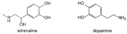 Adrenaline là hormone dẫn truyền thần kinh chủ yếu được tiết ra bởi tuyến thượng thận