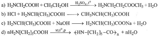 Một học sinh viết các phương trình hóa học minh họa tính chất của các amino acid