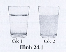Hình 24.1 là hình ảnh về một cốc nước và một cốc sữa