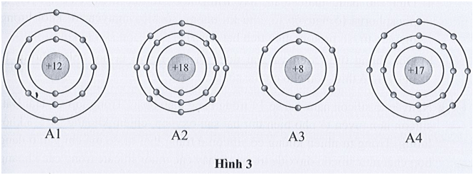 Quan sát mô hình cấu tạo của bốn nguyên tử thuộc bốn nguyên tố có kí hiệu lần lượt (ảnh 1)