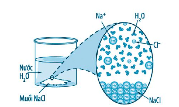 Phân tử nước liên kết với các phân tử phân cực khác bằng cách nào