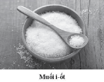 Vì sao phải dùng muối i - ốt thay cho muối ăn thông thường?