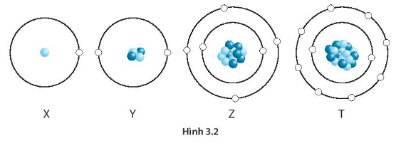 Hình 3.2 mô tả các nguyên tử X, Y, Z và T