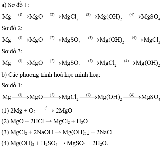 Cho các chất sau: Mg, MgCl2, MgO, Mg(OH)2, MgSO4 