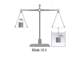 Có hai vật có khối lượng m1 và m2. Vật m1 được đặt ở đĩa cân bên trái