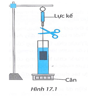 Treo khối sắt vào lực kế và từ từ nhúng vật ngập vào trong ống trụ chứa nước đặt trên một cái cân 
