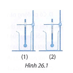 Hãy so sánh và giải thích sự so sánh các đại lượng của hai đại lượng nước ở hai cốc vẽ trong hình 26.1