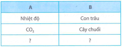 Hãy cho biết các nhân tố sinh thái ở Cột A và Cột B trong bảng dưới đây thuộc 
