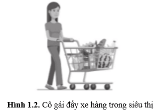 Trong siêu thị, cô gái đẩy xe hàng với một lực F = 50 N theo phương nằm ngang