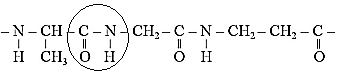 Một đoạn của phân tử protein có cấu tạo như sau, Hãy chỉ ra những liên kết peptide có trong đoạn phân tử