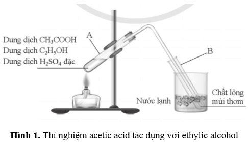 Cho biết tên các dụng cụ và hoá chất được sứ dụng trong thí nghiệm hình 1