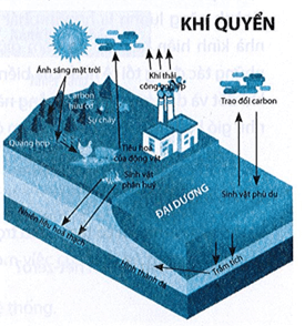 Hình bên mô tả chu trình carbon trên Trái Đất, trong đó carbon được trao đổi giữa sinh quyển