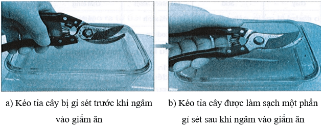 Một số đồ dùng làm bằng sắt thép kéo tỉa cây khi để lâu trong không khí sẽ bị gỉ sét 