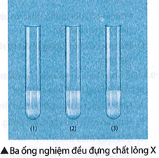 Một nhóm học sinh tiến hành thí nghiệm sau trang 82 SBT Khoa học tự nhiên 9