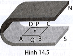 Giải thích tại sao khi cho khung dây dẫn ABCD đặt trong từ trường của nam châm như Hình 14.5 dịch chuyển