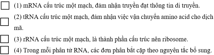 Lựa chọn những phát biểu đúng khi nói về RNA trang 102 Sách bài tập KHTN 9