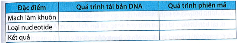 Hoàn thành bảng phân biệt quá trình tái bản DNA và quá trình phiên mã