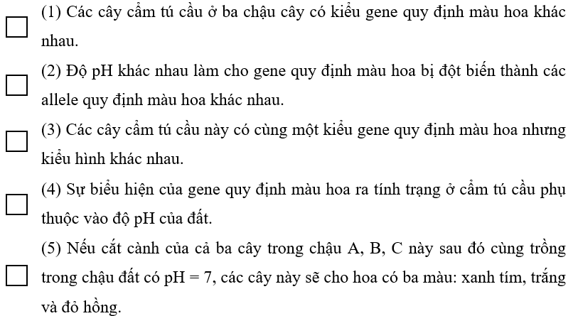 Một người làm vườn đã cắt các cành của một cây cẩm tú cầu sau đó đem giâm mỗi cành