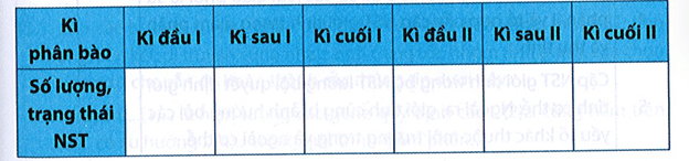 Một tế bào sinh trứng ở ruồi giấm (2n = 8) tiến hành giảm phân bình thường