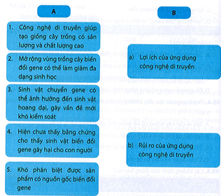 Ghép các thông tin ở cột A vào nhóm lợi ích hoặc rủi ro của ứng dụng công nghệ di truyền