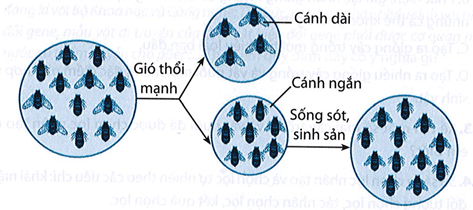 Hình dưới đây mô tả quần thể côn trùng chịu tác động của các yếu tố môi trường