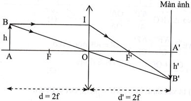 Dựng ảnh A'B' của một vật AB có độ cao h, đặt vuông góc với trục chính của thấu kính hội tụ