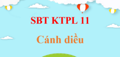 SBT KTPL 11 Cánh diều | Giải sách bài tập Giáo dục Kinh tế Pháp luật 11 (hay, ngắn gọn)