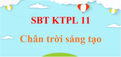 SBT KTPL 11 Chân trời sáng tạo | Giải sách bài tập Giáo dục Kinh tế Pháp luật 11 (hay, ngắn gọn)