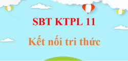 SBT KTPL 11 Kết nối tri thức | Giải sách bài tập Giáo dục Kinh tế Pháp luật 11 (hay, ngắn gọn)