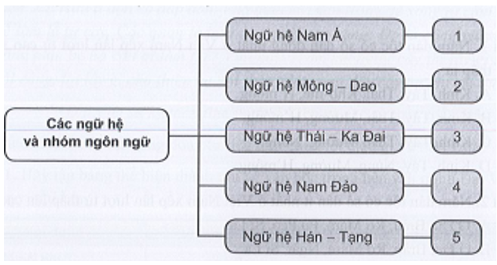 Hãy ghép tên các dân tộc sâu vào các ngữ hệ chính ở Việt Nam sao cho phù hợp