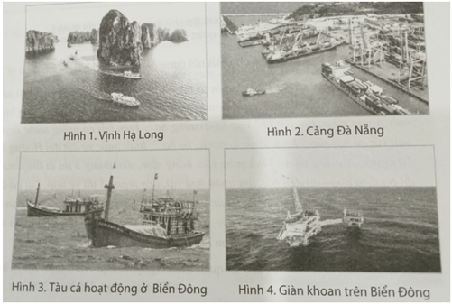 Cho biết những ngành kinh tế trọng điểm mà Việt Nam có thể phát triển liên quan đến Biển Đông