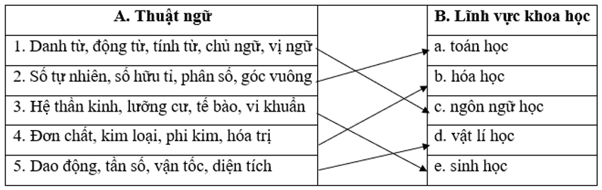 SBT Ngữ văn 7 Bài tập tiếng Việt trang 45, 46 - Cánh diều